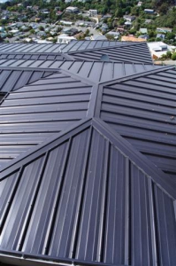 Solar Rib